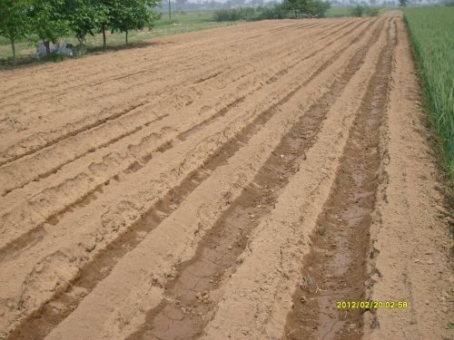 土豆筑埂機(jī)